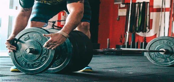 730 South Drive Hopewell Junction New York, 12533 | Branded Health & Fitness Club