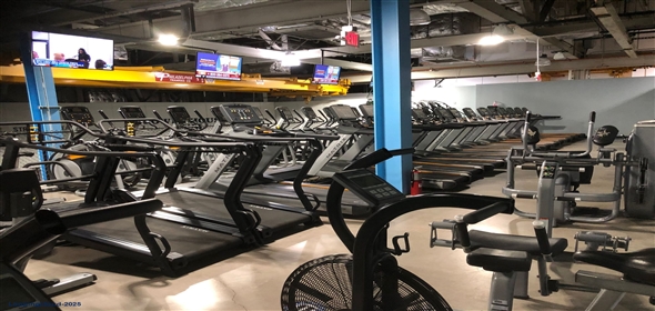 730 South Drive Hopewell Junction New York, 12533 | Branded Health & Fitness Club