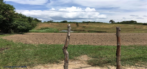 Lote S/N Carretera Panamericana S/N Panama City Panamá Province, 07033 | Exclusive Lot for Sale