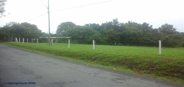 Lote S/N Carretera Panamericana S/N Panama City Panamá Province, 07033 | Exclusive Lot for Sale