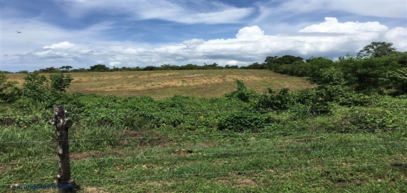 Lote S/N Carretera Panamericana S/N Panama City Panamá Province, 07033 | Exclusive Lot for Sale