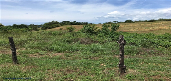 Lote S/N Carretera Panamericana S/N Panama City Panamá Province, 07033 | Exclusive Lot for Sale