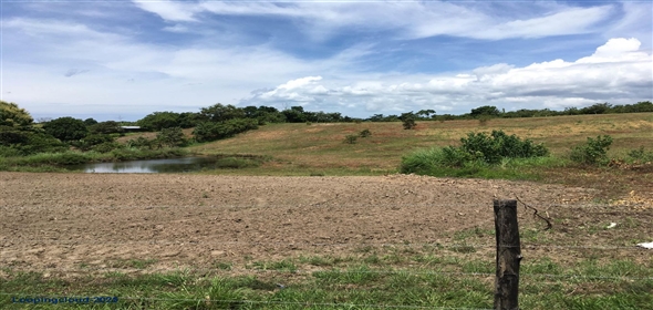 Lote S/N Carretera Panamericana S/N Panama City Panamá Province, 07033 | Exclusive Lot for Sale