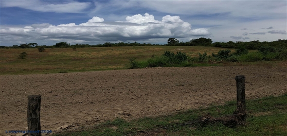Lote S/N Carretera Panamericana S/N Panama City Panamá Province, 07033 | Exclusive Lot for Sale