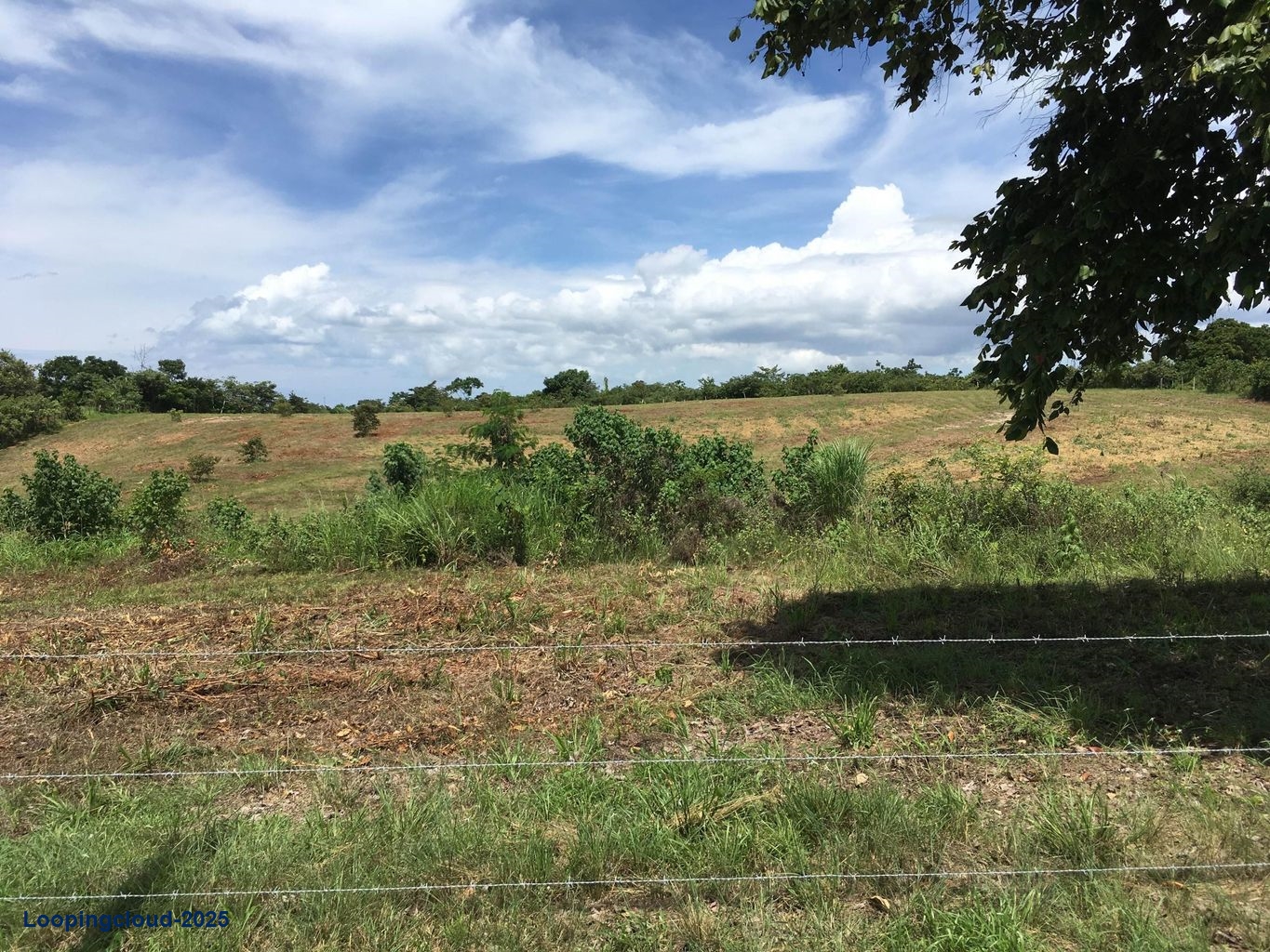 Commercial Property for Sale in Panama City Panamá Province 07033