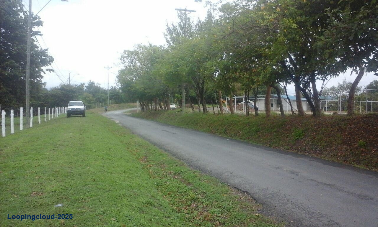 Commercial Property for Sale in Panama City Panamá Province 07033