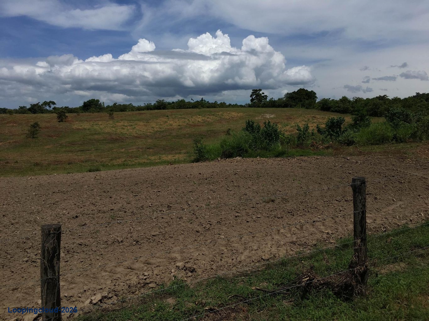 Commercial Property for Sale in Panama City Panamá Province 07033