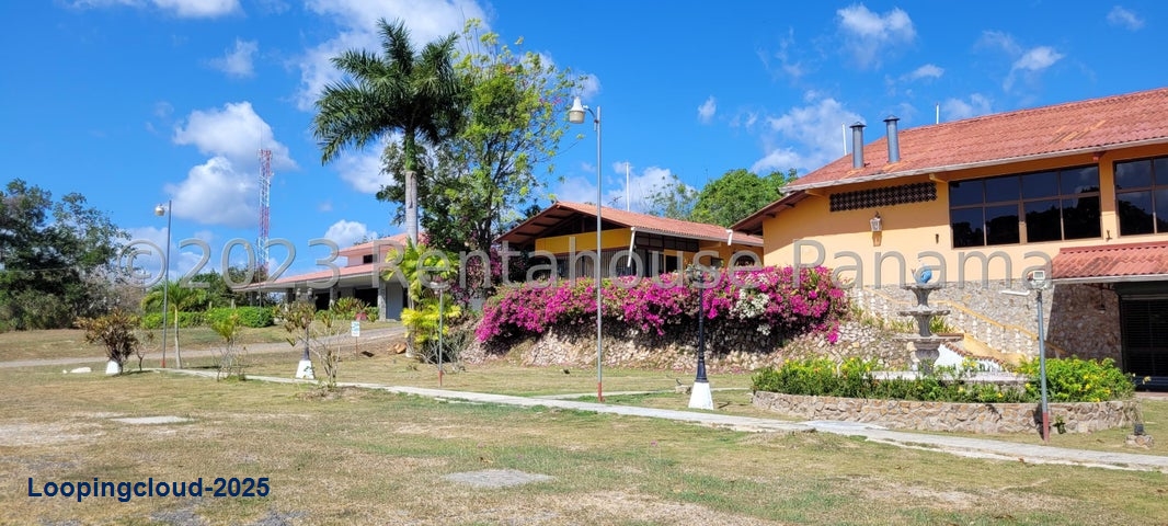 Commercial Property for Sale in Cocle Cocle 02007