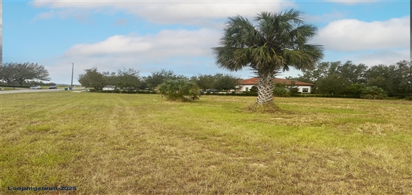 Lot 9 Lake View Center Phase 1 Tavares Florida, 32778 | Lot 9 Lake View Office Park Tavares FL