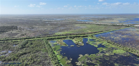 Barton Boulevard Rockledge Florida, 32955 | 574 Acres at I95 and Barton Boulevard