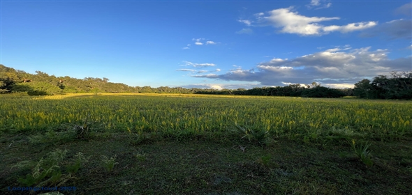 Richmond Avenue Sanford Florida, 32773 | Premier Land Parcel by Sanford's Airport Hub