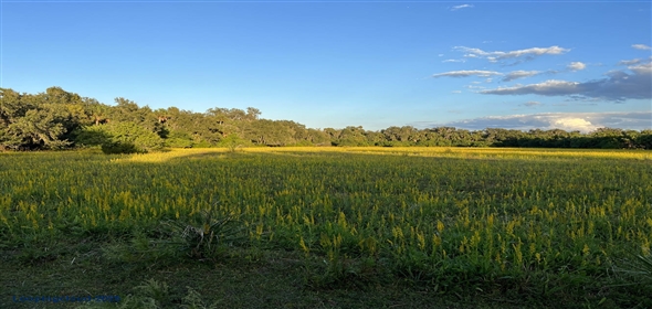 Richmond Avenue Sanford Florida, 32773 | Premier Land Parcel by Sanford's Airport Hub