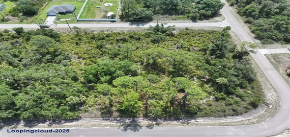 ALVA ST North Po Florida, 34291 | Exclusive Lot for Sale on ALVA ST North Port
