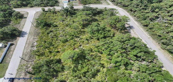ALVA ST North Po Florida, 34291 | Exclusive Lot for Sale on ALVA ST North Port