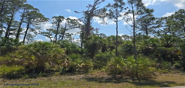 CLATTLEYA AVE North Port Florida, 34288 | CLATTLEYA AVE North Port