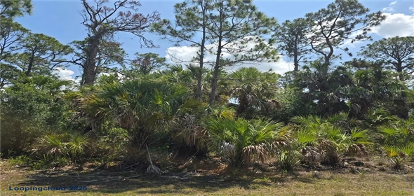 CLATTLEYA AVE North Port Florida, 34288 | CLATTLEYA AVE North Port