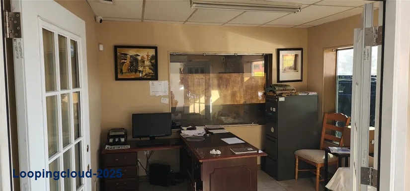 Auto Dealer,Auto Repair-Specialty,Auto Service