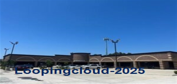 10717 Sagetree Drive Houston Texas, 77089 | 10717 Sagetree Drive