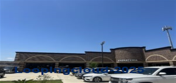 10717 Sagetree Drive Houston Texas, 77089 | 10717 Sagetree Drive