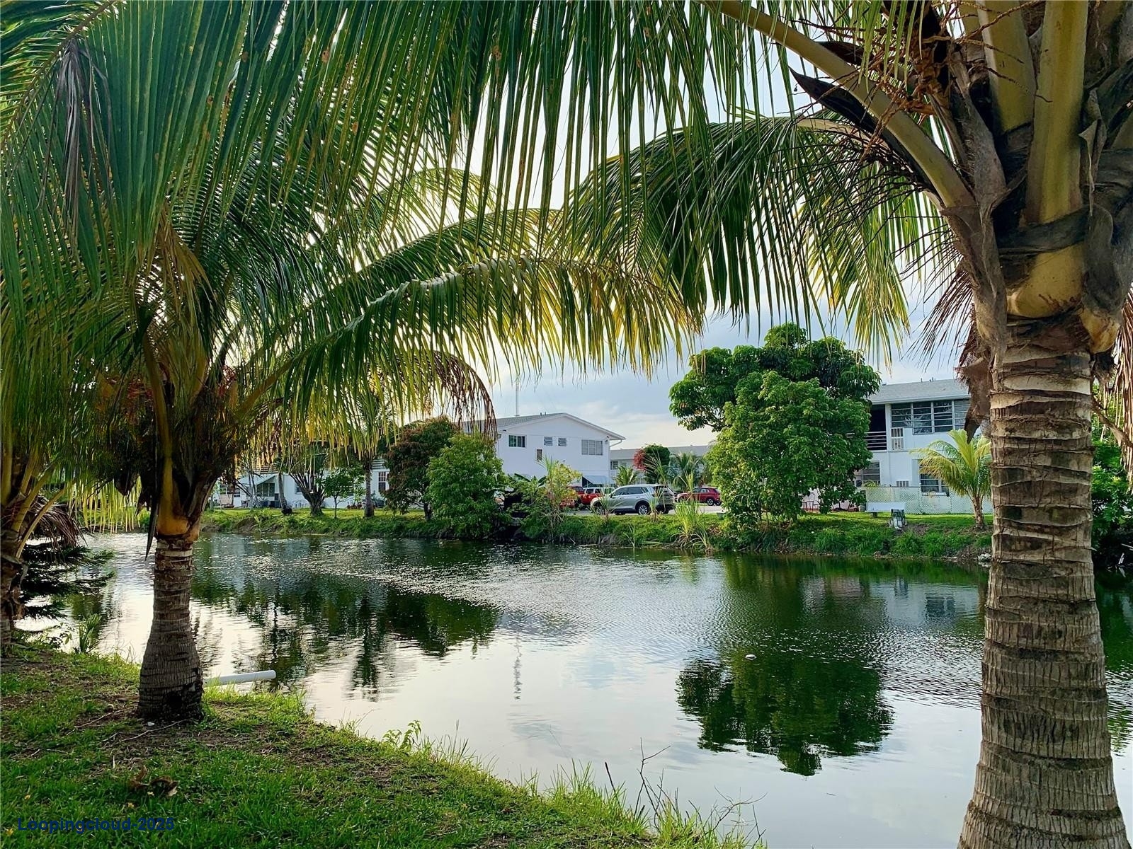 1 Bed Condo 692Feet2 at Miami Gardens