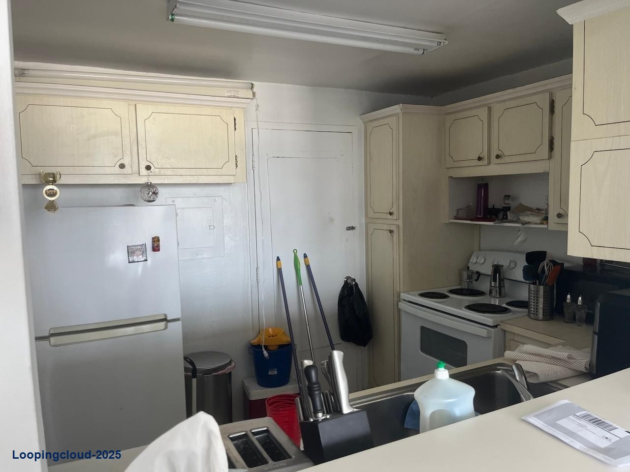 Beautiful One Bedroom Apartment