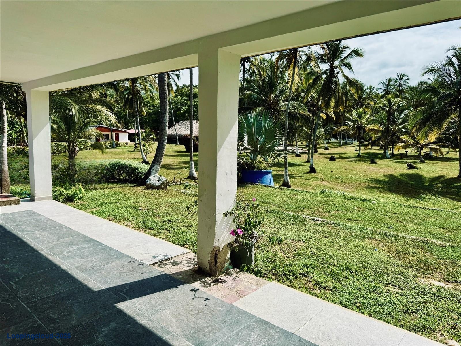 Commercial Property for Sale in Santa Marta Magdalena 470001
