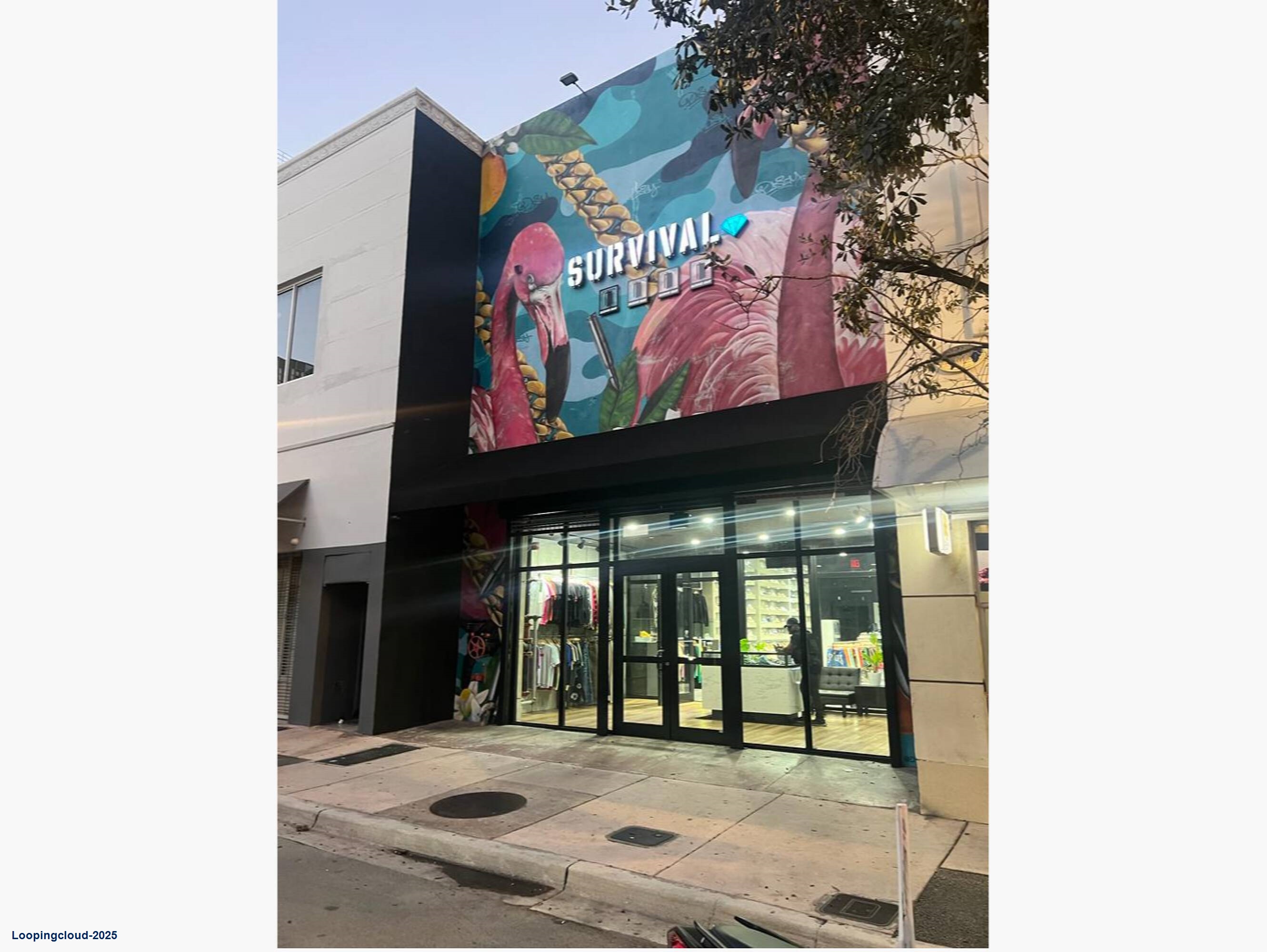 Downtown Miami Single Tenant Retail Opportunity