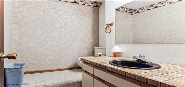 633 E 3rd Avenue Castle Rock Colorado, 80108 | Exclusive Home in Castel Rock