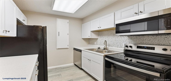 2225 S Jasmine Street #102 Denver Colorado, 80222 | Stunning Remodeled Ground Floor Unit!