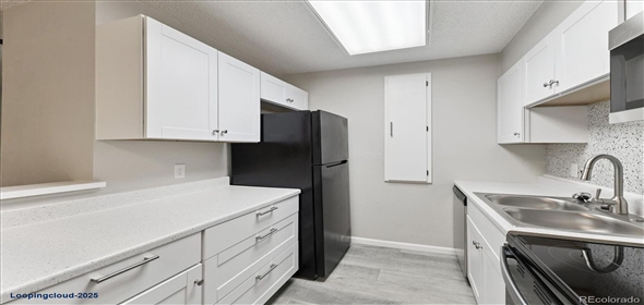 2225 S Jasmine Street #102 Denver Colorado, 80222 | Stunning Remodeled Ground Floor Unit!