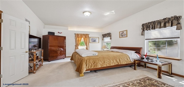 8950 XAVIER ST Denver Colorado, 80031 | Beautiful Home