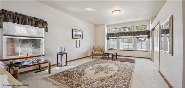 8950 XAVIER ST Denver Colorado, 80031 | Beautiful Home