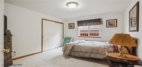 8950 XAVIER ST Denver Colorado, 80031 | Beautiful Home