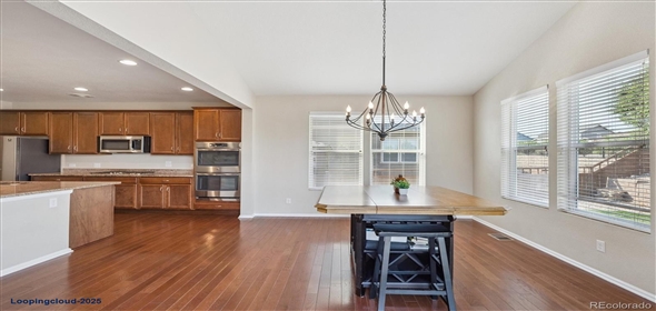 7310 BLUE WATER DR Castle Rock Colorado, 80108 | Splendid Family House