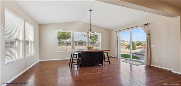 7310 BLUE WATER DR Castle Rock Colorado, 80108 | Splendid Family House