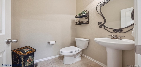 7310 BLUE WATER DR Castle Rock Colorado, 80108 | Splendid Family House