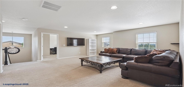 7310 BLUE WATER DR Castle Rock Colorado, 80108 | Splendid Family House