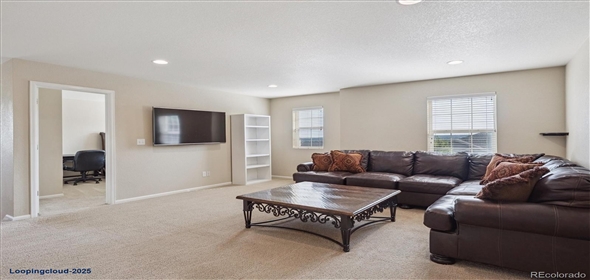 7310 BLUE WATER DR Castle Rock Colorado, 80108 | Splendid Family House