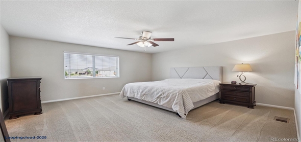 7310 BLUE WATER DR Castle Rock Colorado, 80108 | Splendid Family House