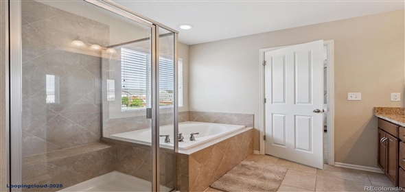 7310 BLUE WATER DR Castle Rock Colorado, 80108 | Splendid Family House