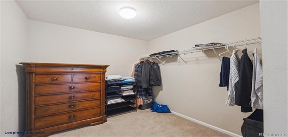 7310 BLUE WATER DR Castle Rock Colorado, 80108 | Splendid Family House