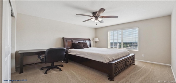 7310 BLUE WATER DR Castle Rock Colorado, 80108 | Splendid Family House