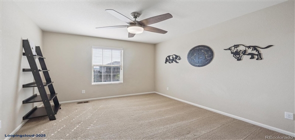 7310 BLUE WATER DR Castle Rock Colorado, 80108 | Splendid Family House