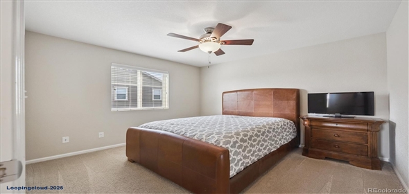 7310 BLUE WATER DR Castle Rock Colorado, 80108 | Splendid Family House