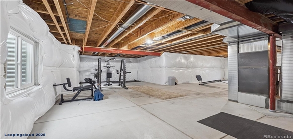 7310 BLUE WATER DR Castle Rock Colorado, 80108 | Splendid Family House