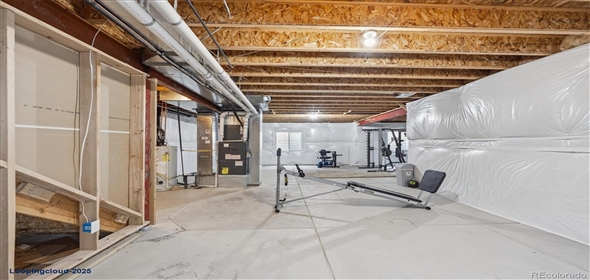 7310 BLUE WATER DR Castle Rock Colorado, 80108 | Splendid Family House