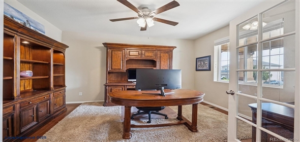 7310 BLUE WATER DR Castle Rock Colorado, 80108 | Splendid Family House