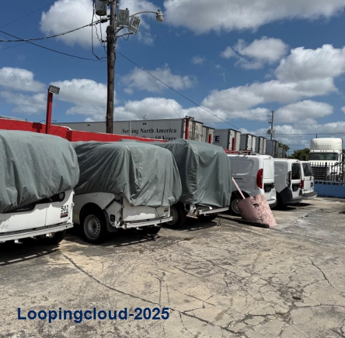 Automotive Professional Services