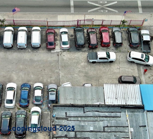 Automotive Professional Services