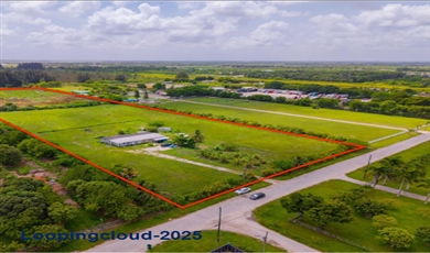 Miami , Kendall Florida                                                                                              33196